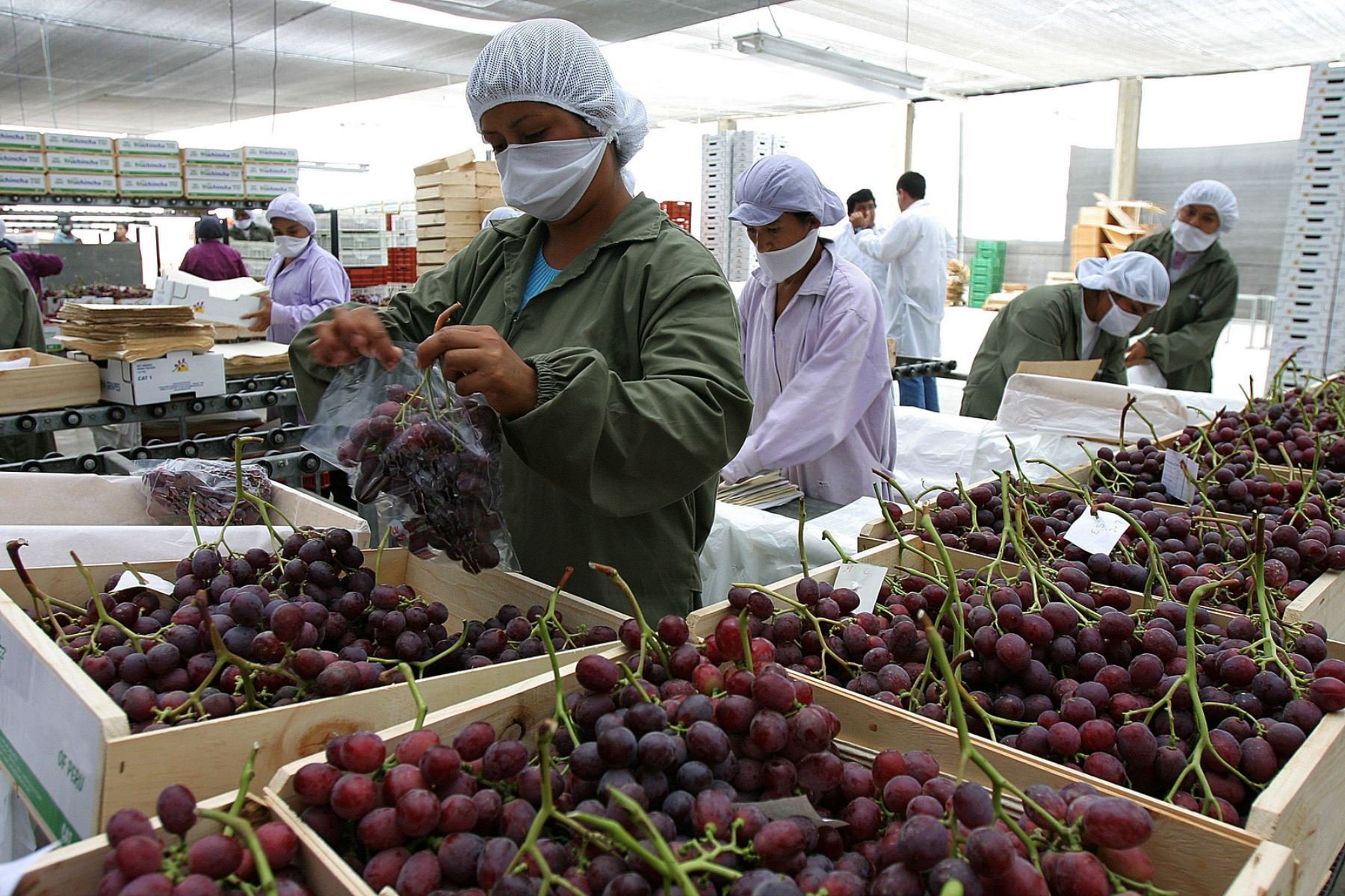 agroexportación_Perú