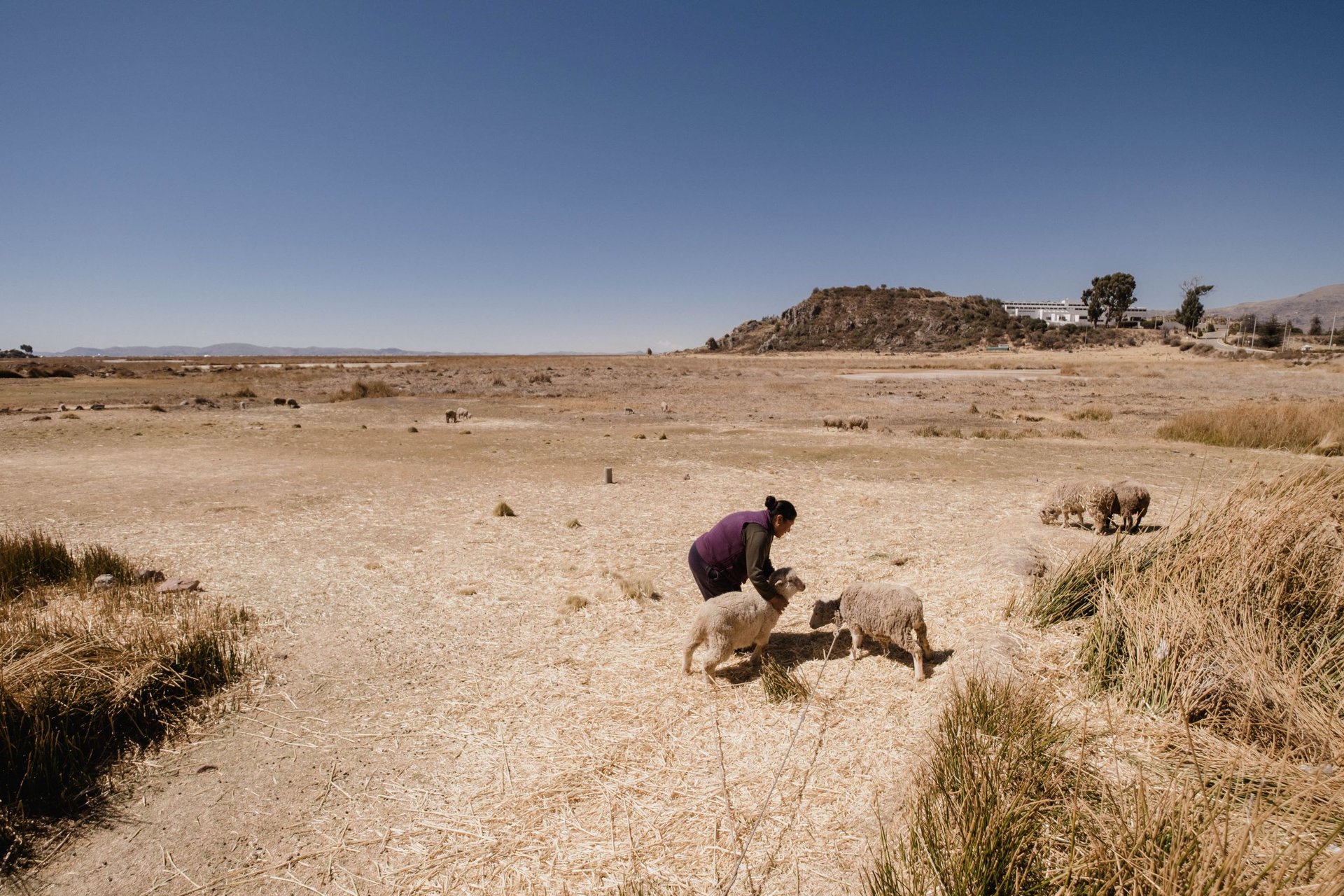 0500_SCL_liztasa_Titicaca_hotel2