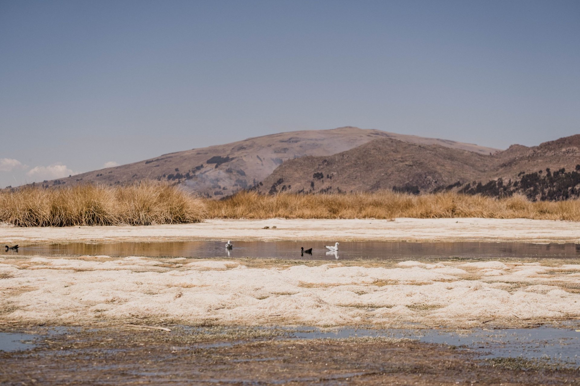 0518_SCL_liztasa_Titicaca_canal4