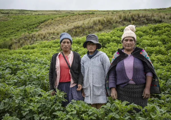 20250122_Huancavelica_SEPS4504