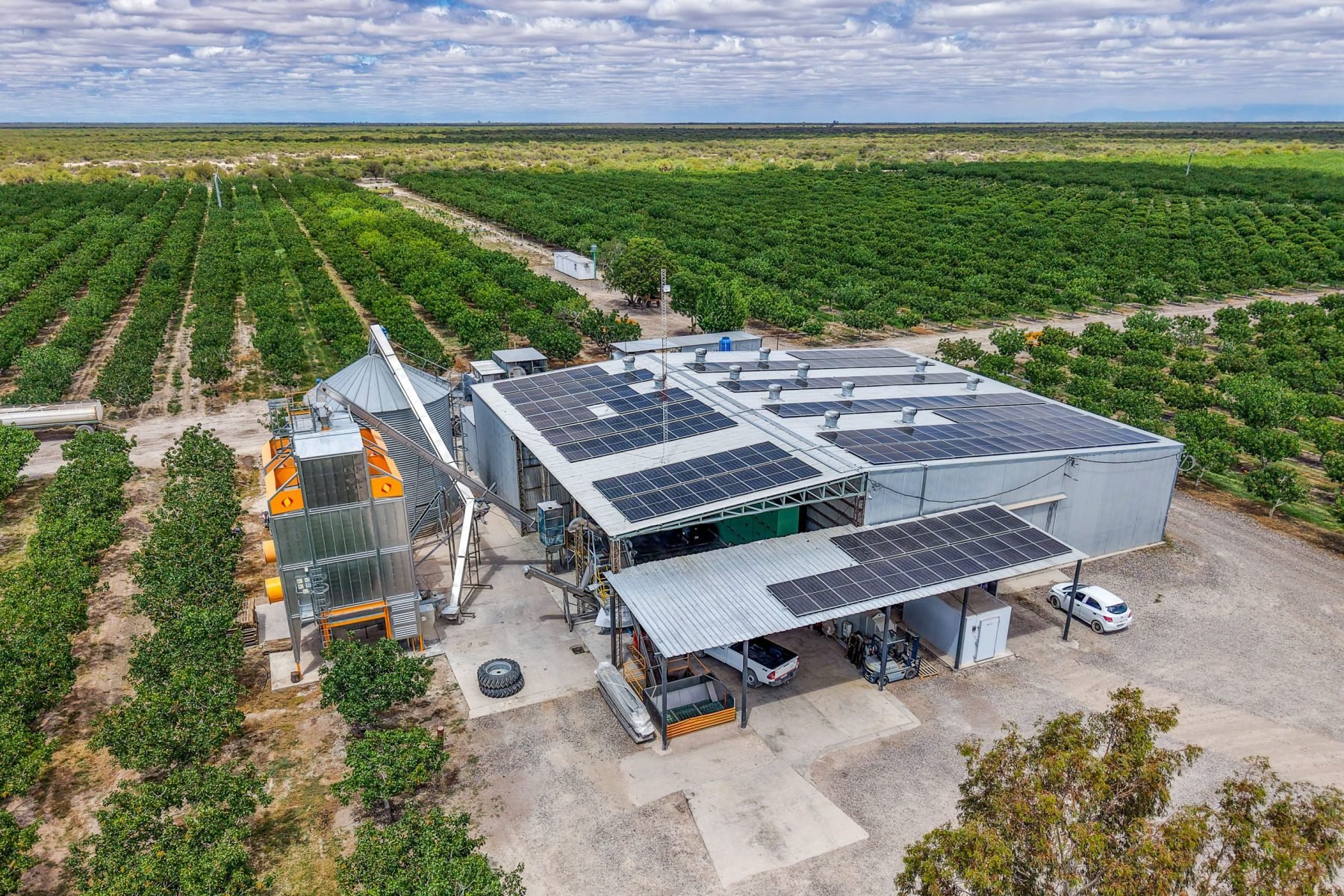20251028_solar-panels-on-pistachio-plant_Pistachos-de-los-Andes-farm_San-Juan_Argentina_Celina-Mutti-Lovera_Dialogue-Earth-1800x1200