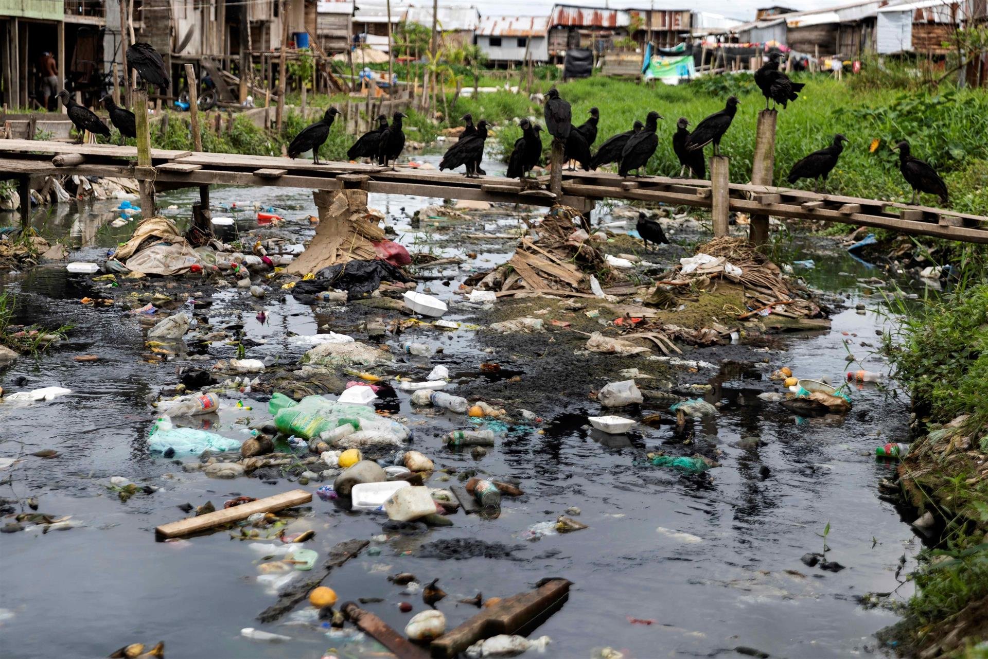 23ff1fd05596b0c58a50384b95e795a1459b3901w