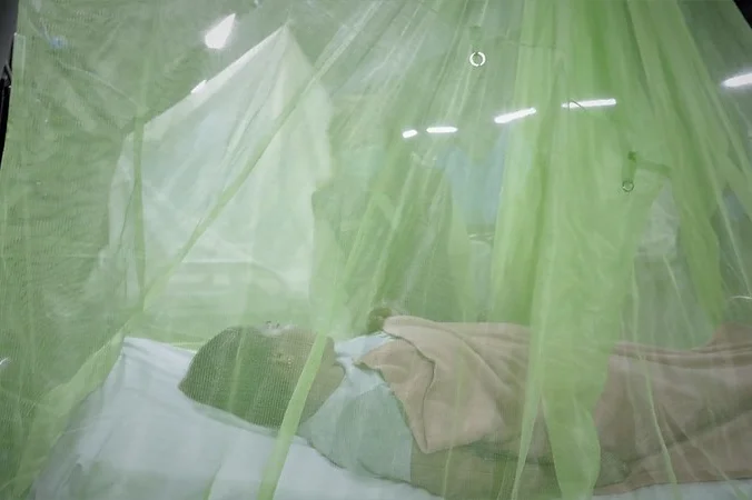 dengue Perú