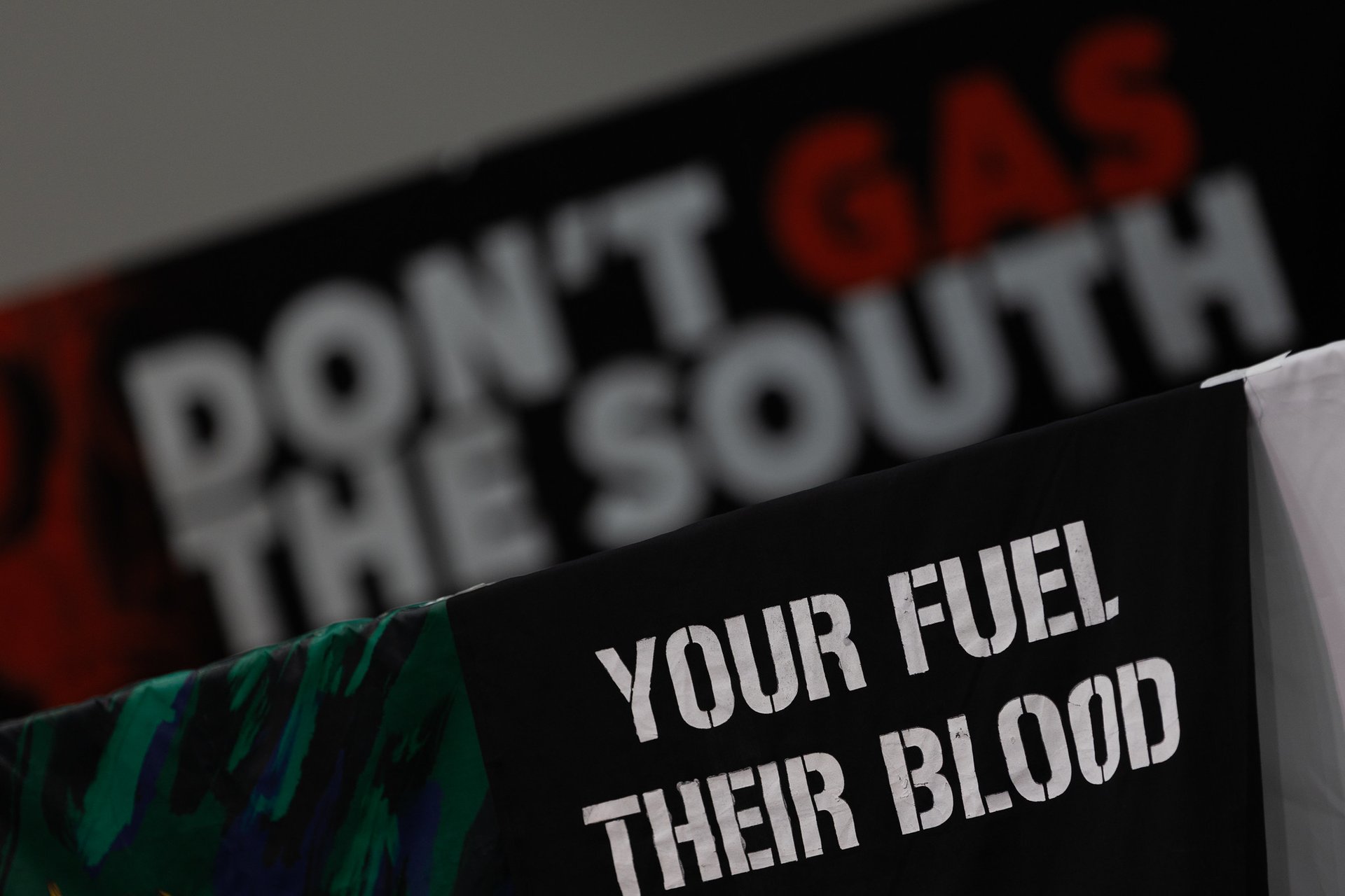 54938945103_679346e55b_k