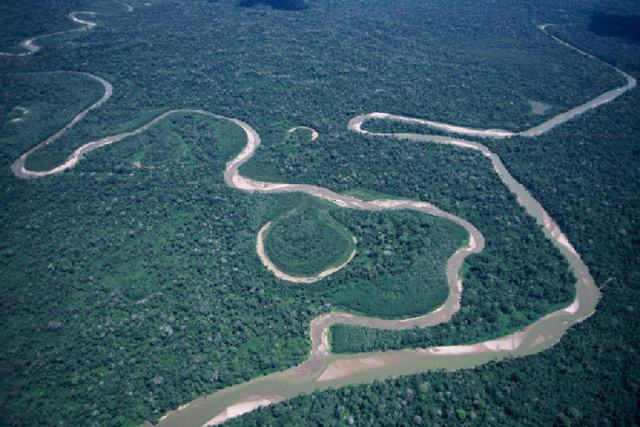 Parque Nacional Purús
