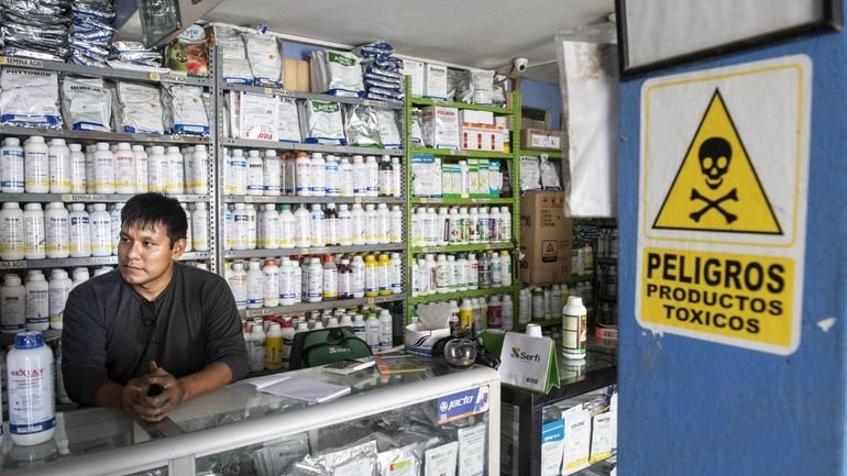 5931bf7ce465ecd403503815e79db1b3-1686152499.width-1920