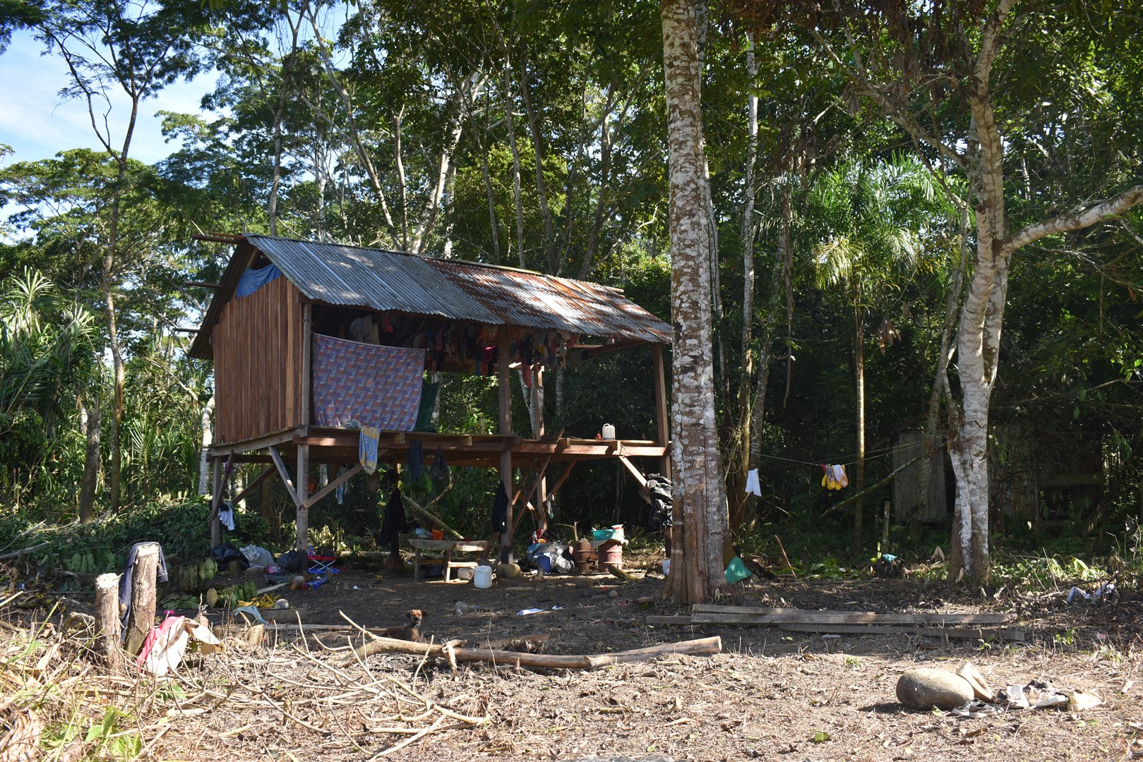 7.-Casa en la que vive una familia yuqui. NICOLE VARGAS