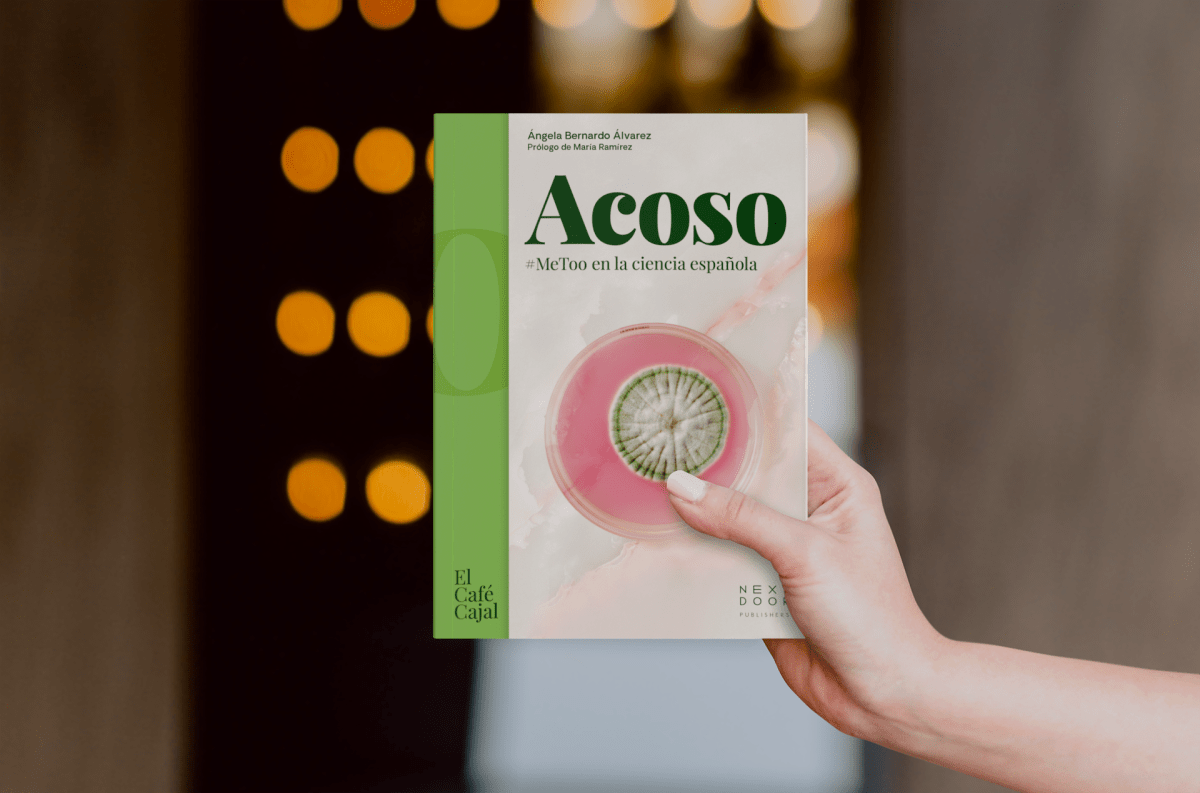 Acoso8-1200x793.png