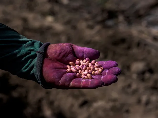 AgricultoresPequeños_Ica2