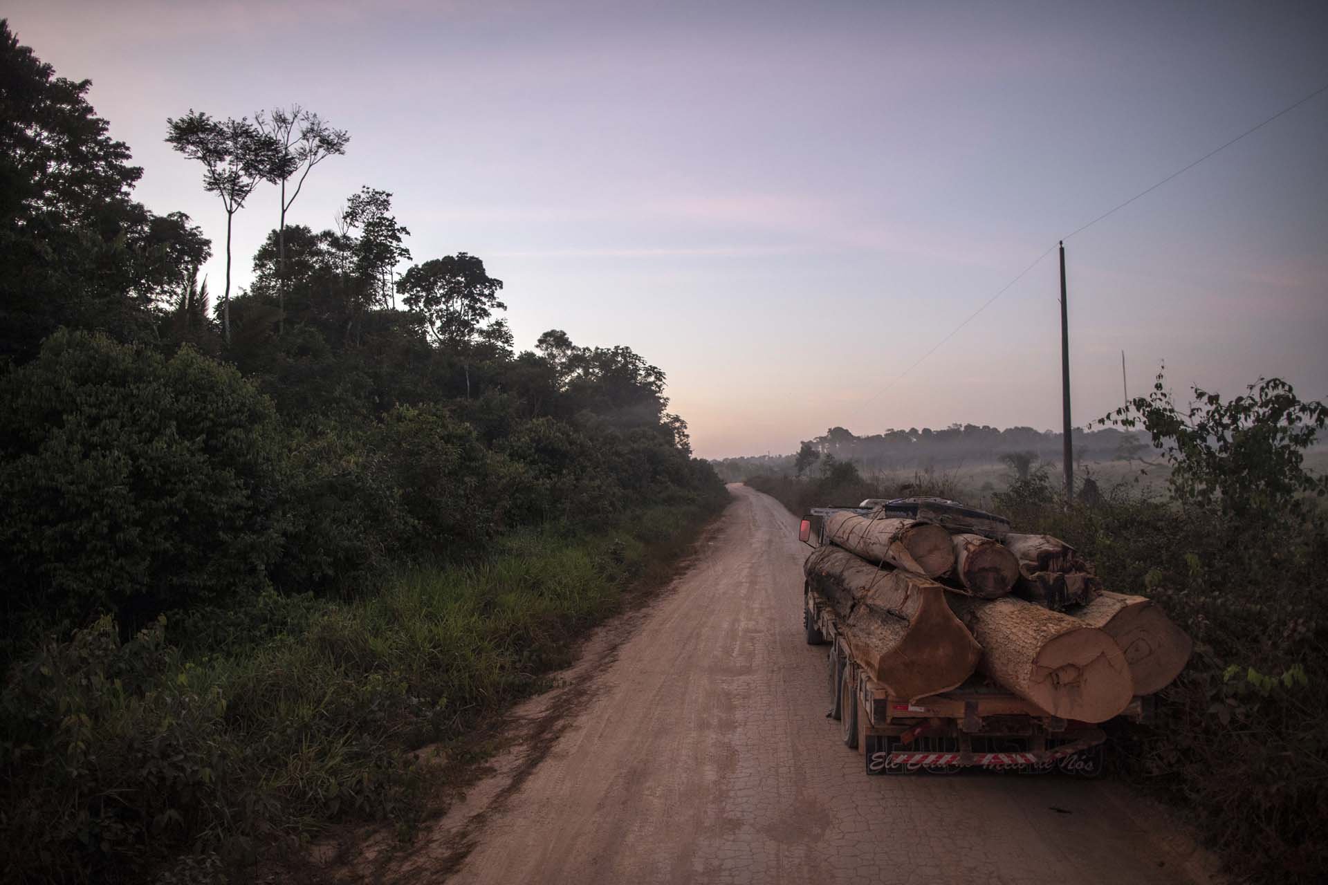 BRAZIL DEFORESTATION 10-12.jpg