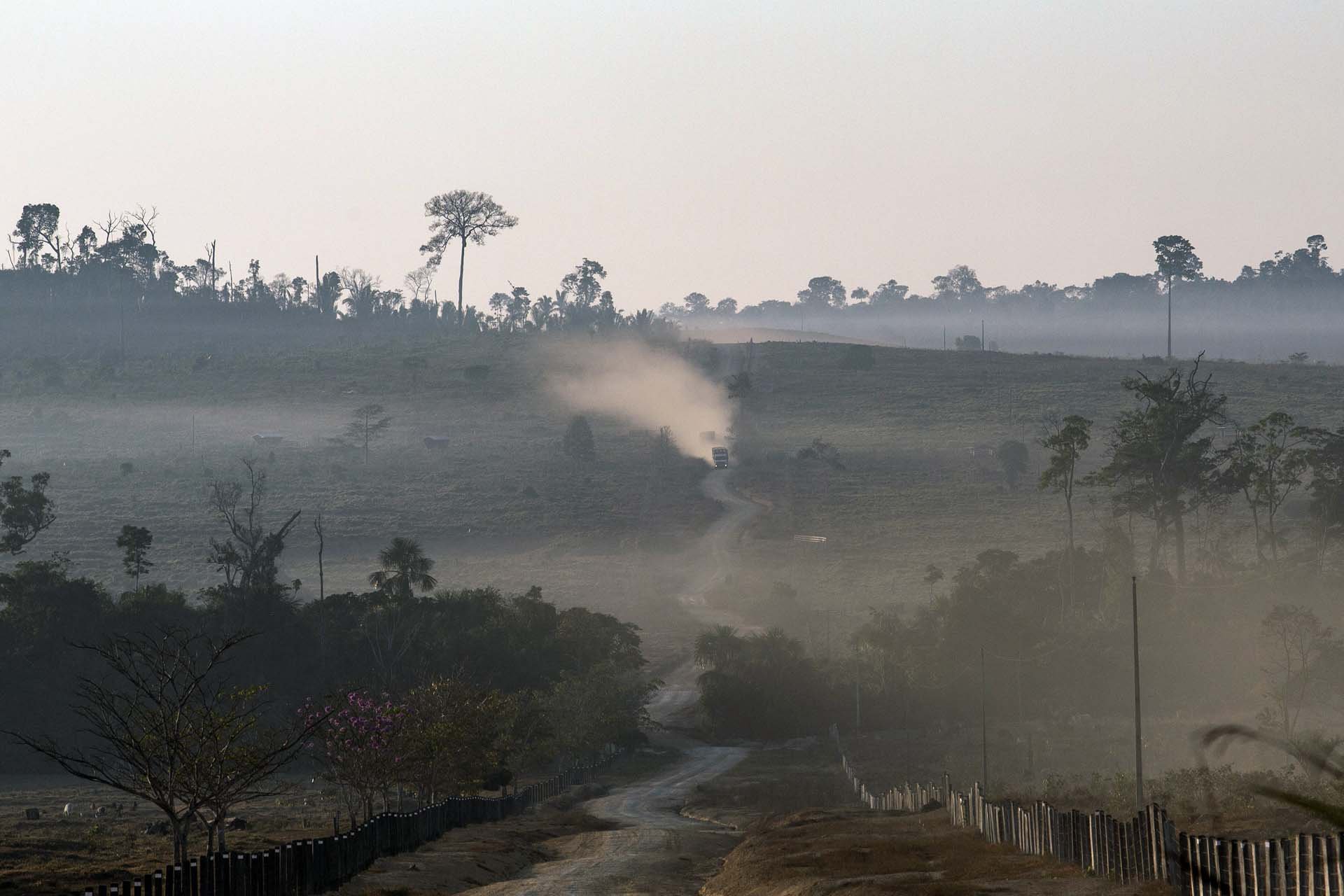 BRAZIL DEFORESTATION 20-19.jpg