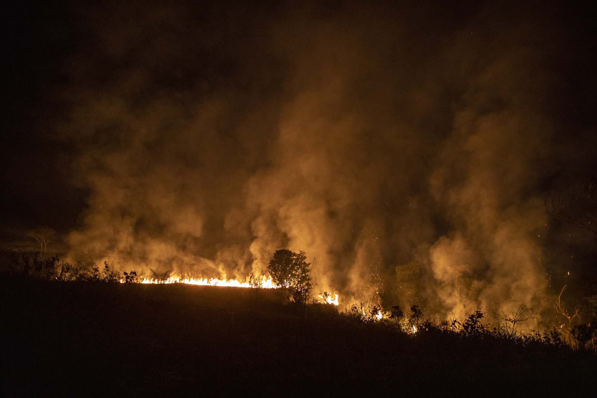 BRAZIL DEFORESTATION 4-0.jpg