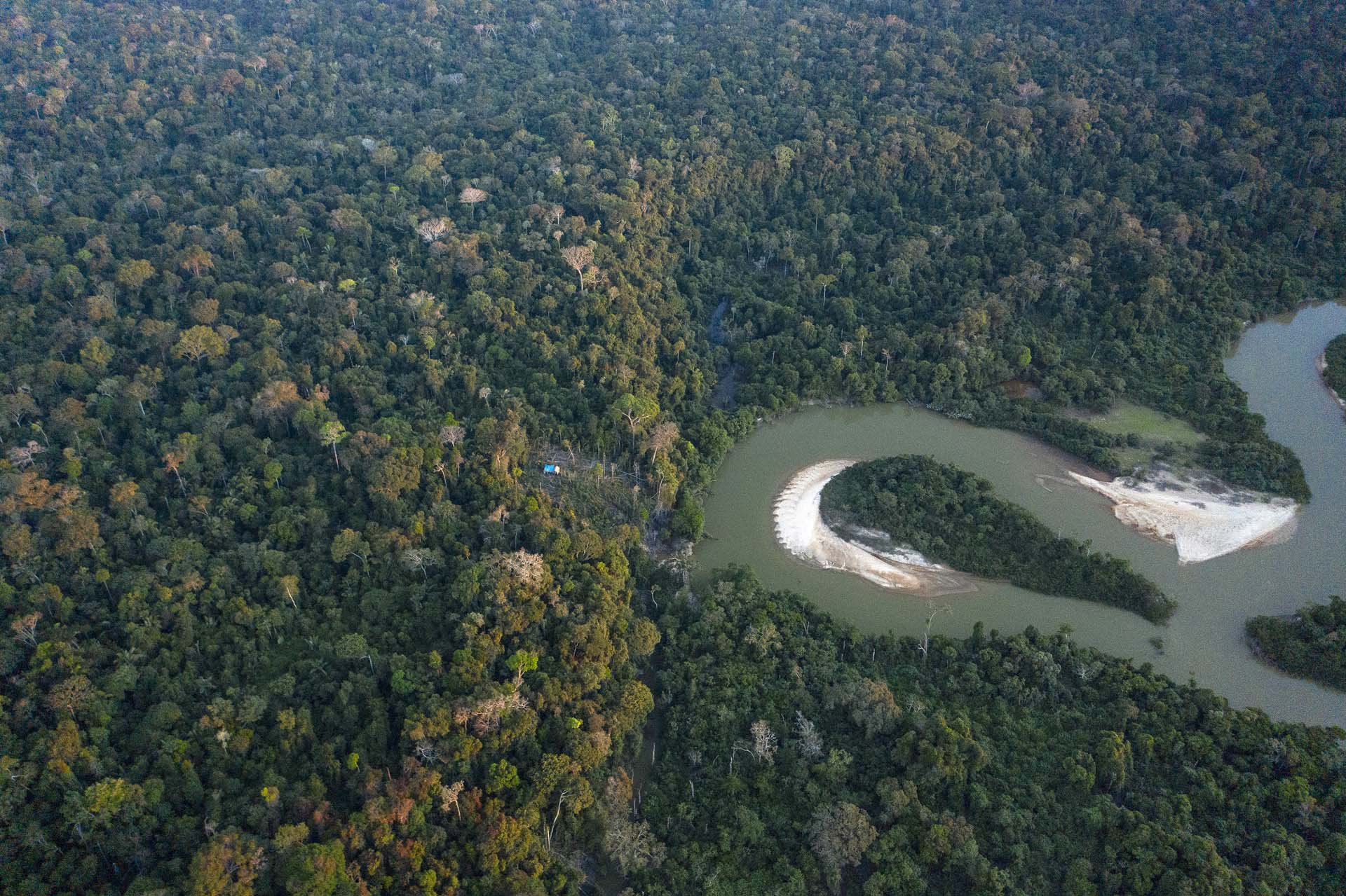 BRAZIL DEFORESTATION 9-3.jpg