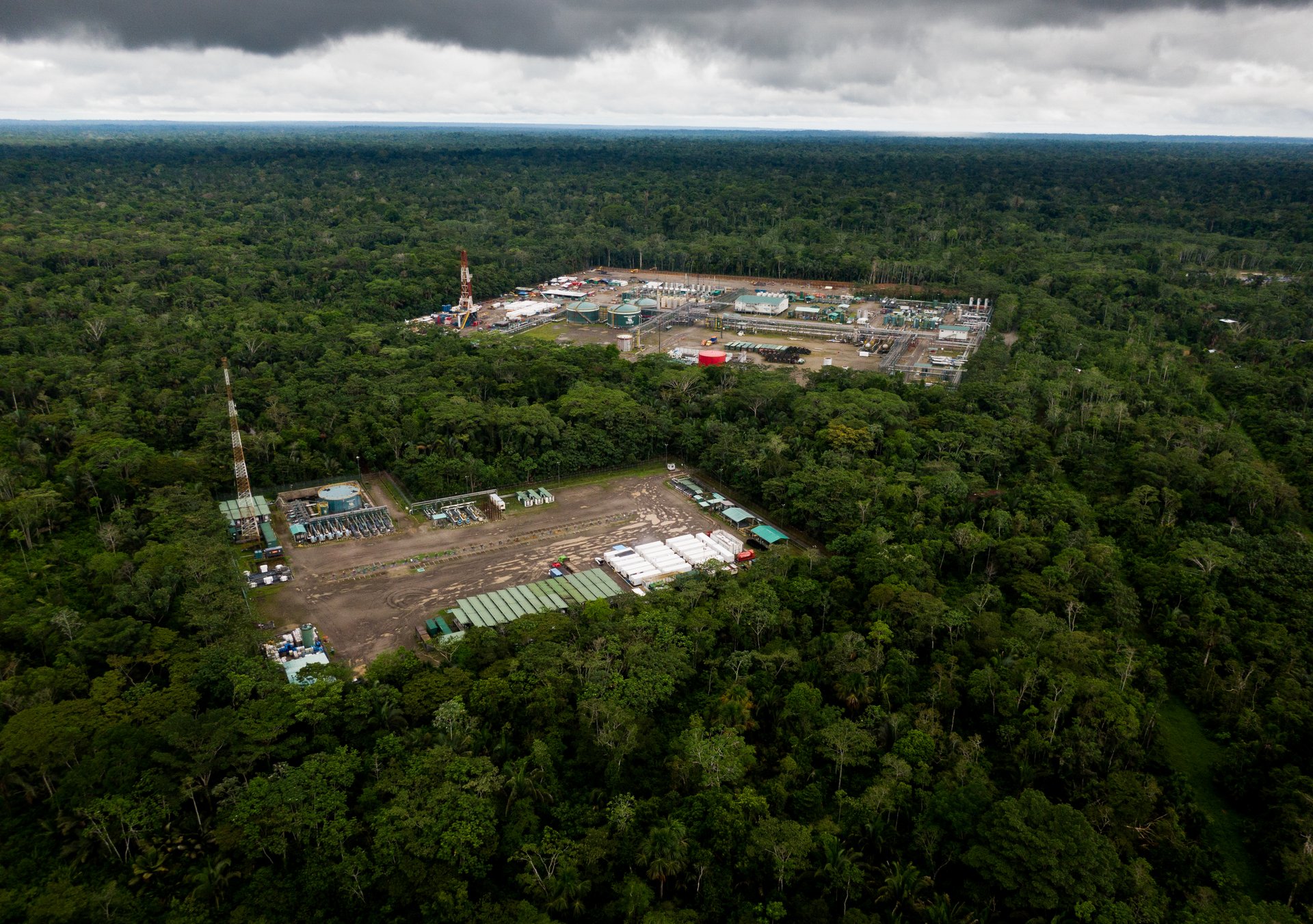 CALIF RAINFOREST DRILLING-0