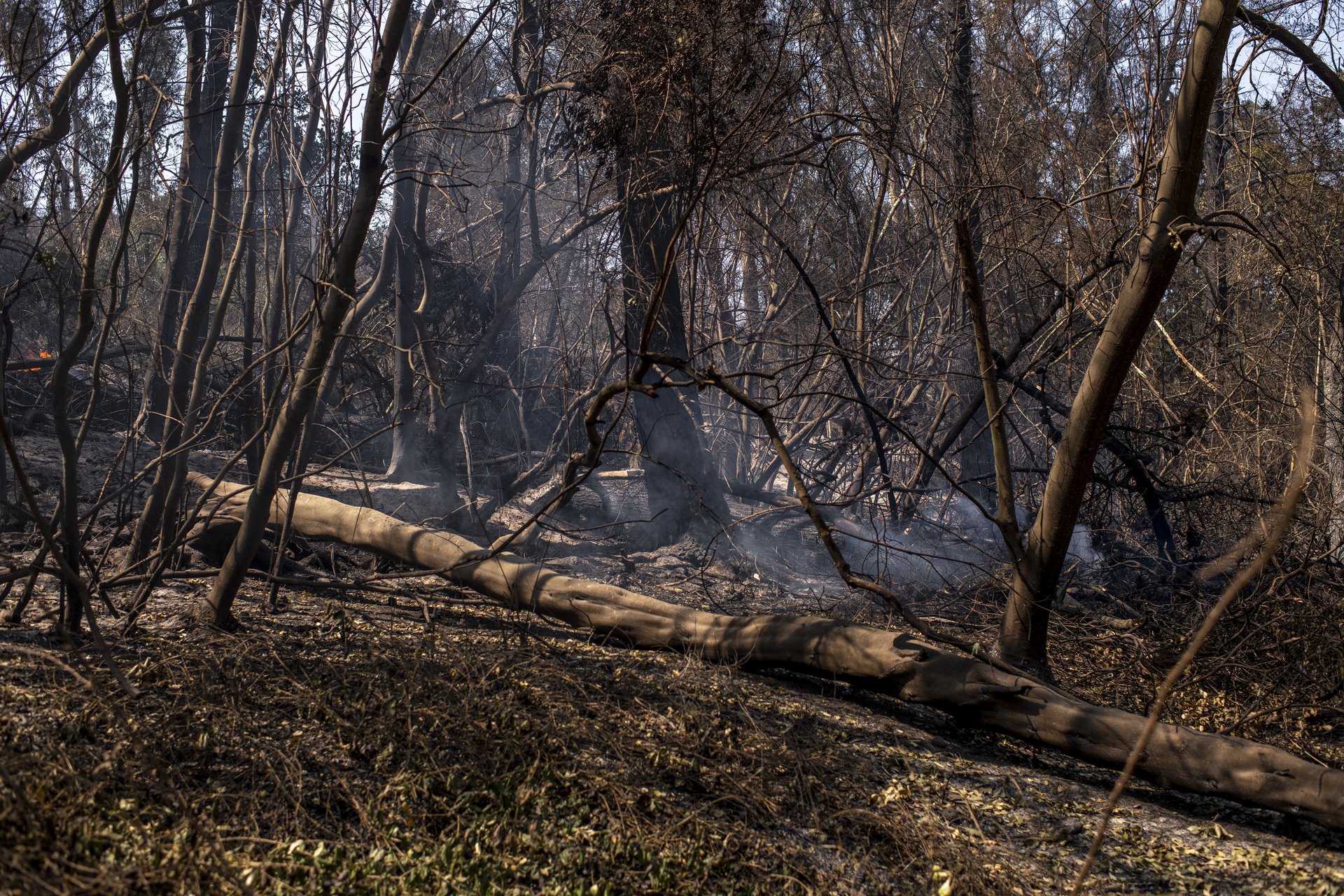 CHILE WILDFIRES 5-14