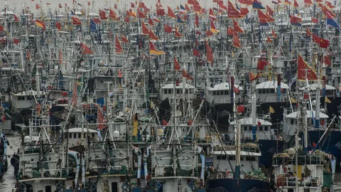 CHINA GLOBAL FISHING-0