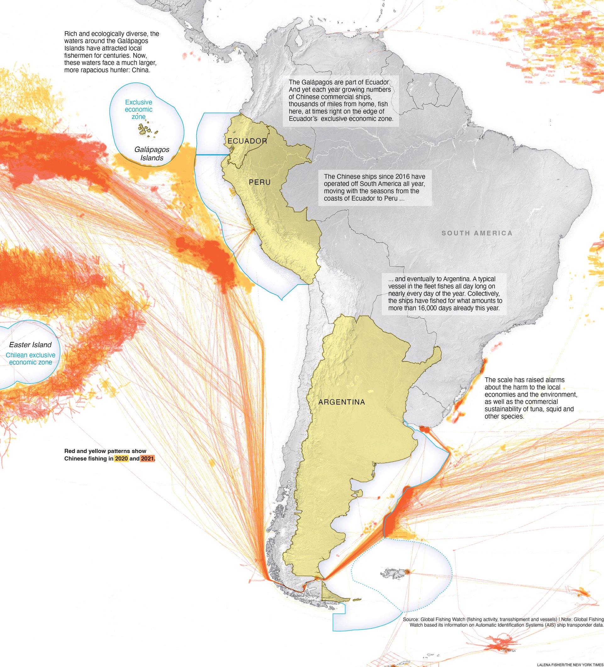 CHINA GLOBAL FISHING 2-1