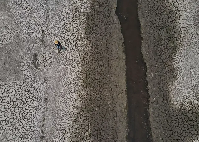 reuters_rio_negro_afluente