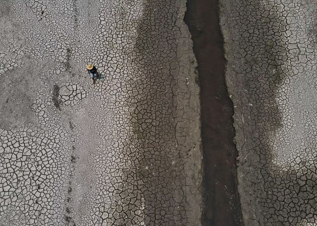 reuters_rio_negro_afluente