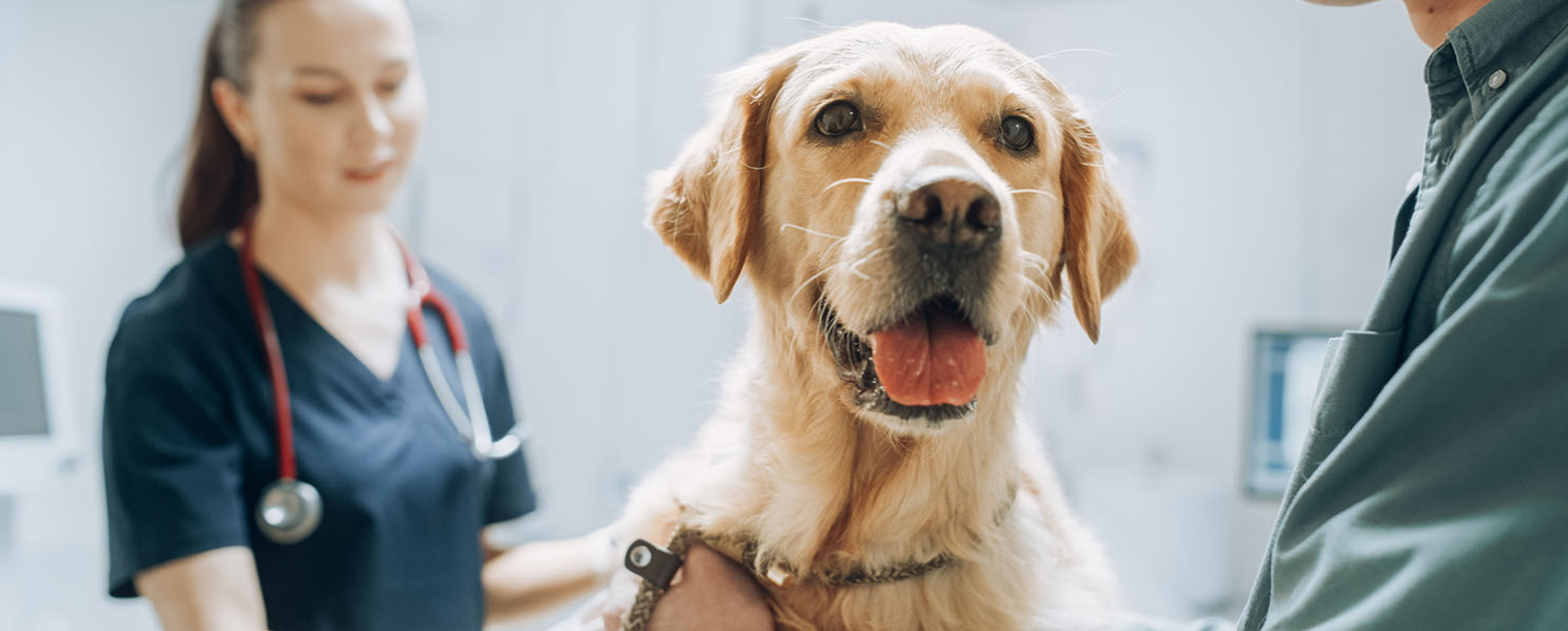 Captura de pantalla 2025-11-11 153638