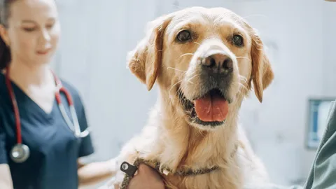 Captura de pantalla 2025-11-11 153638