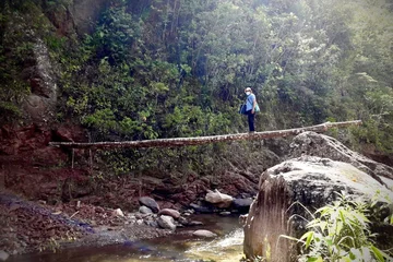 Tres días a pie para llevar las vacunas en la Amazonía