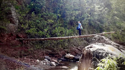 Tres días a pie para llevar las vacunas en la Amazonía