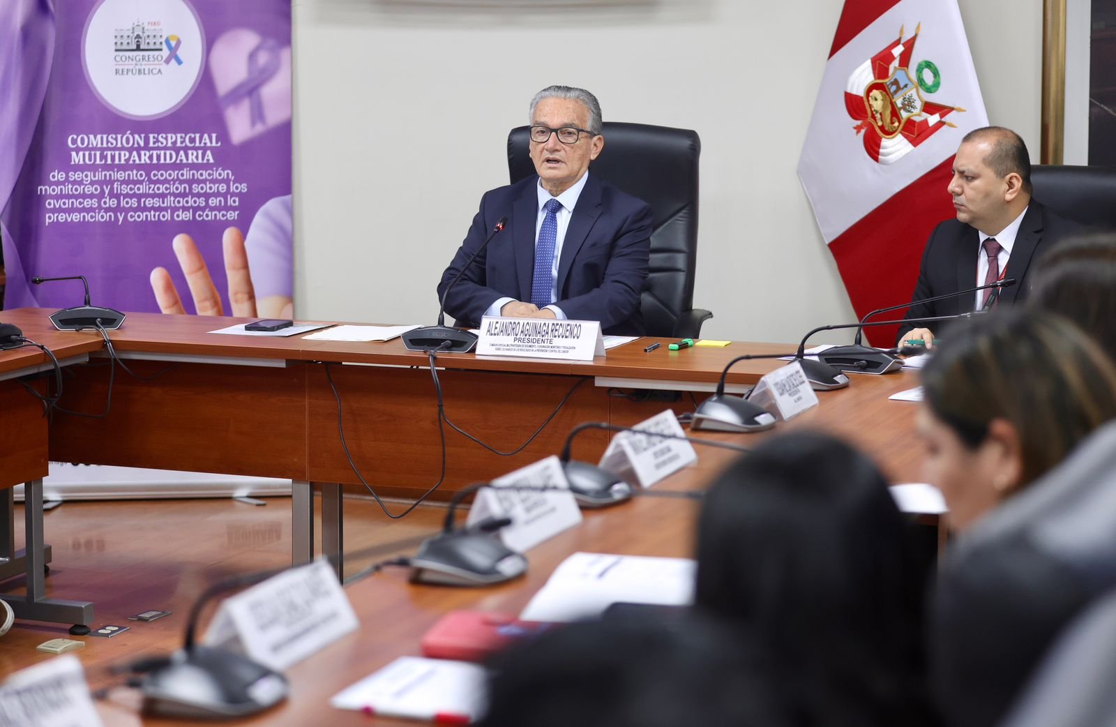 Comisión-cáncer-Alejandro Aguinaga-Víctor Palacios