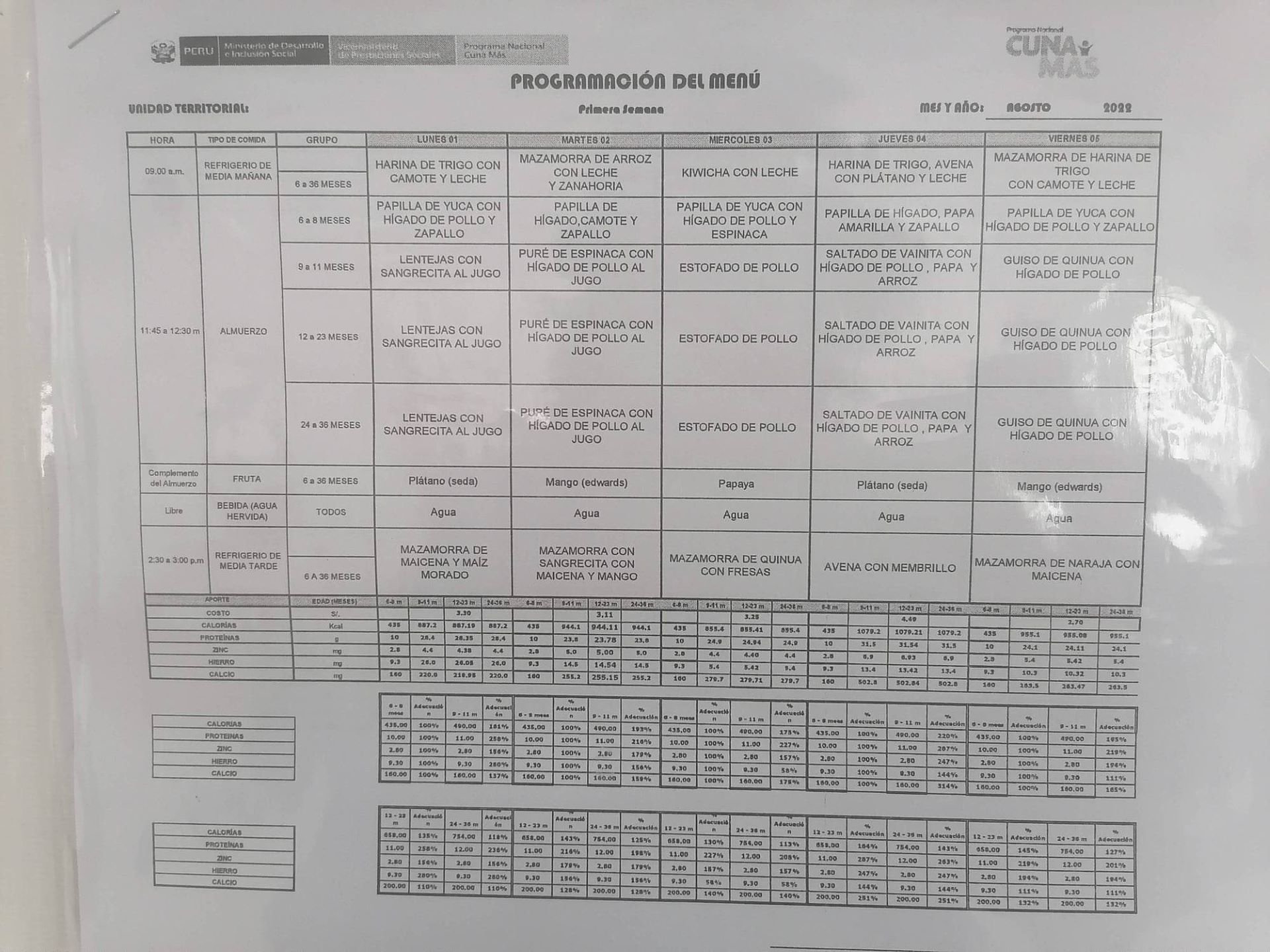 Cuna Más - Programación de menú