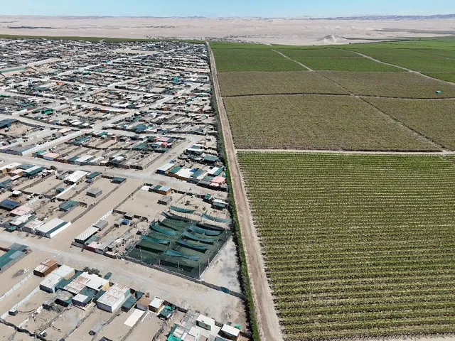 Villa Rotary y los campos agroexportadores se separan por una línea de tierra