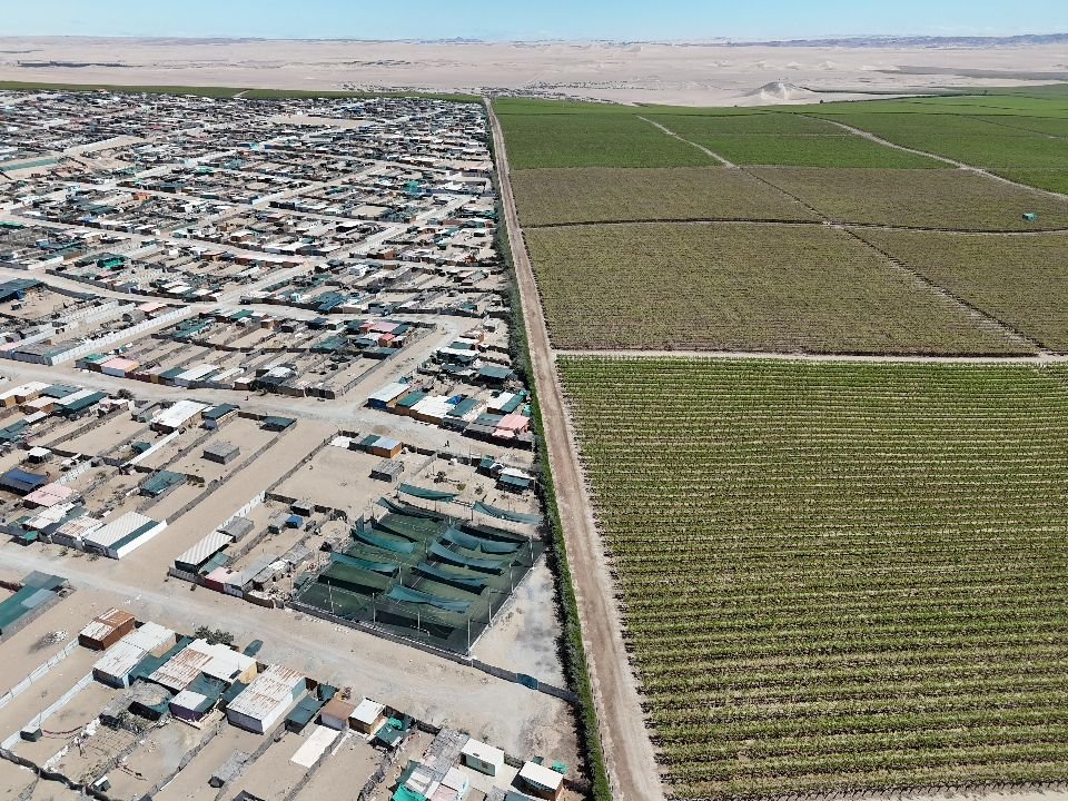 DJI_20250829131254_0991_D