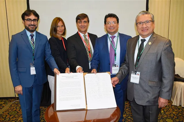 Declaración-de-Lima.-Dolor-Infantil.-FEDELAT-Agosto-2022