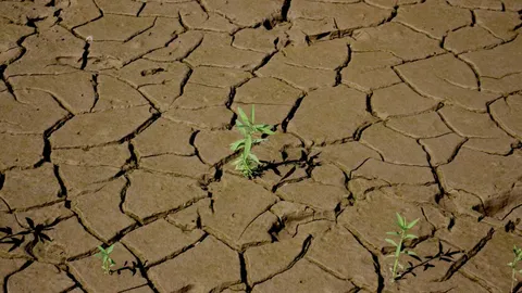 El-mundo-entra-en-bancarrota-hidrica-segun-un-informe-de-la-ONU