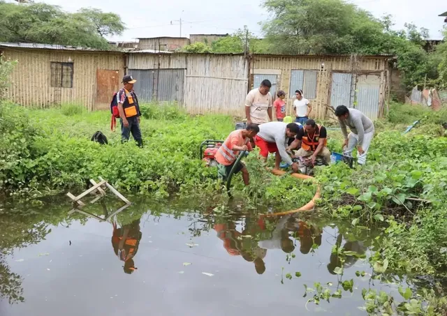 Agua estancada - Leptospirosis
