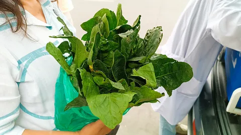 ESPINACA MONITOREO