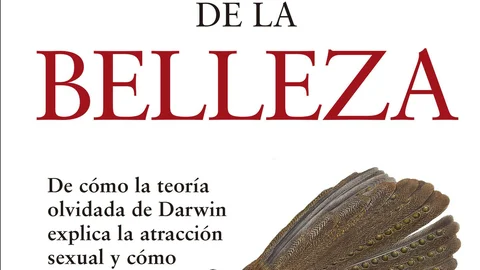 La evolución de la belleza