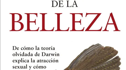 La evolución de la belleza