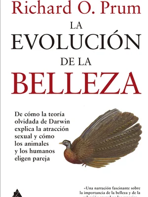 La evolución de la belleza