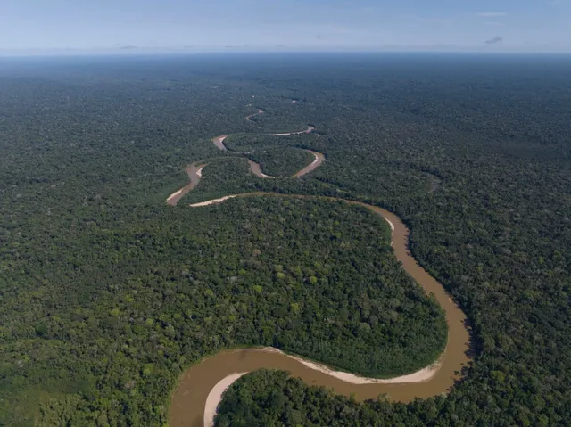 Los-Amigos-lab-in-Amazonian-forest-2_credit-SDZWA-1200x899