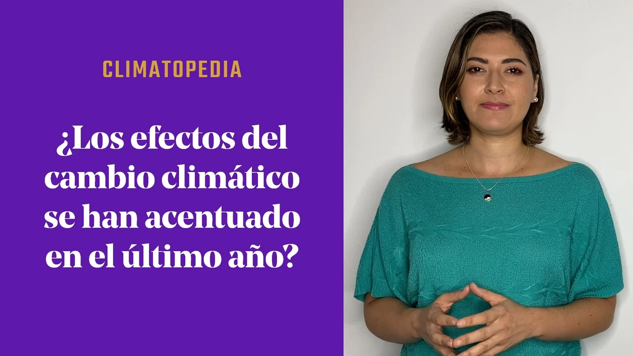 ¿Los efectos del cambio climático se han acentuado en el último año?