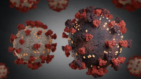 Mutación del coronavirus abridora final.jpg
