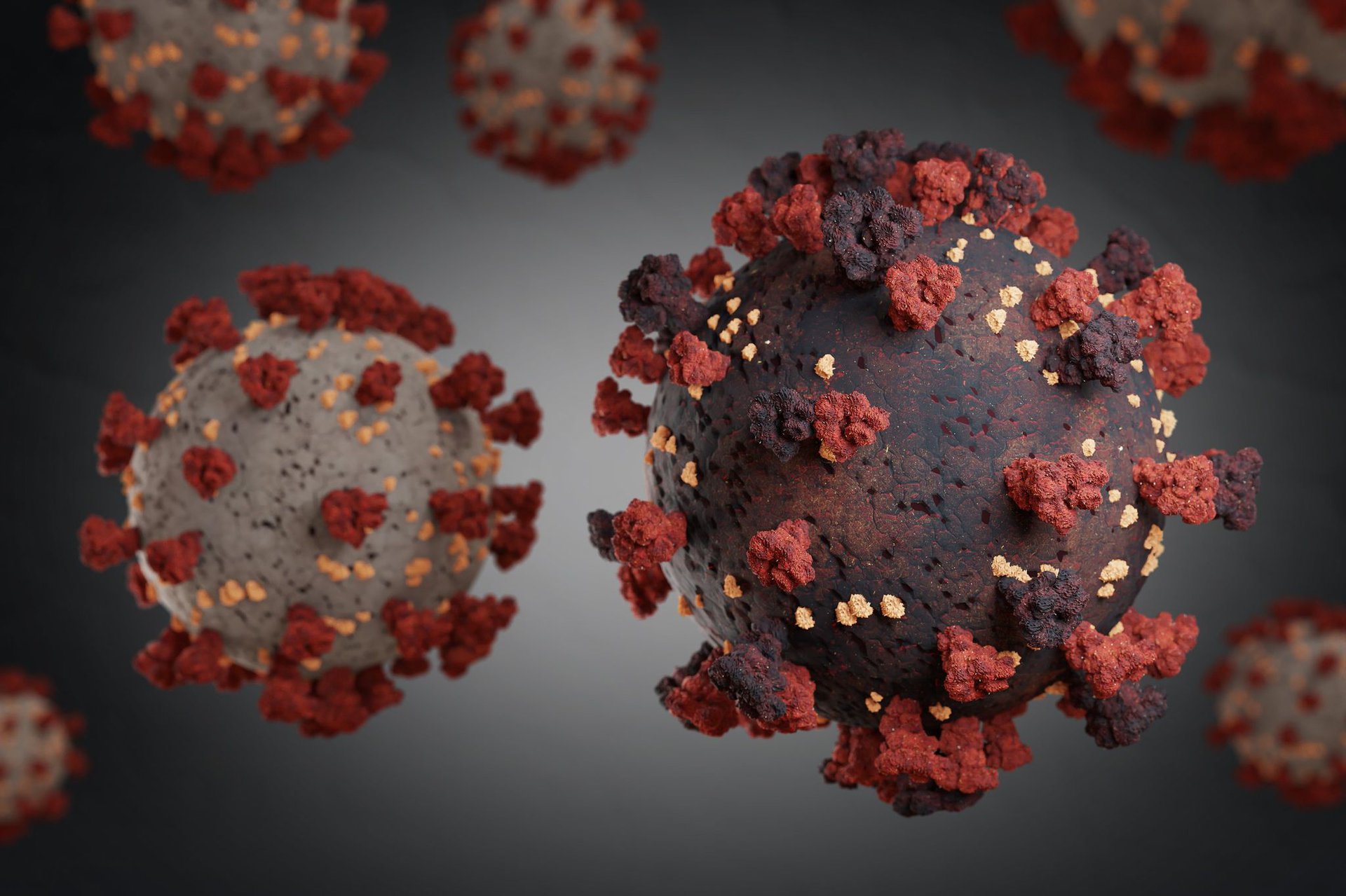 Mutación del coronavirus abridora final.jpg