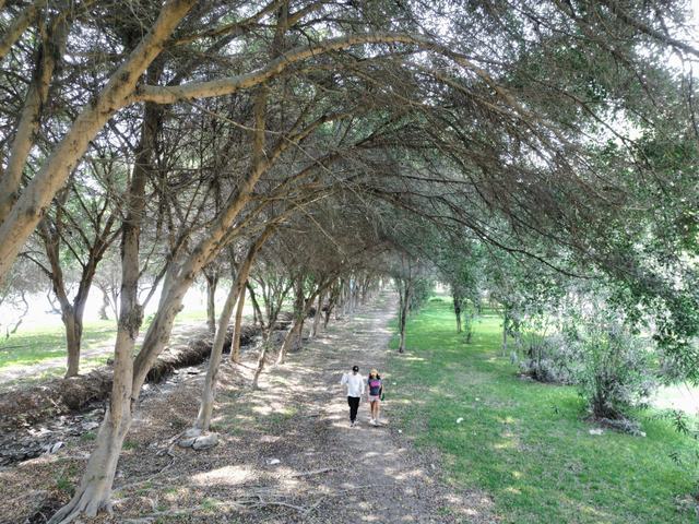 PARQUE SEPARADORA INDUSTRIAL SENDERO