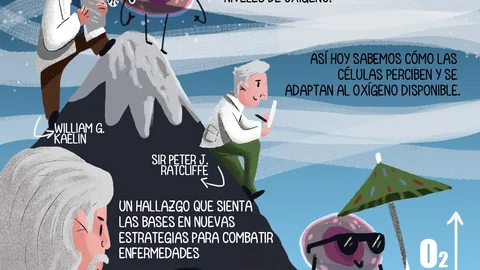Premio Nobel de Medicina 2019