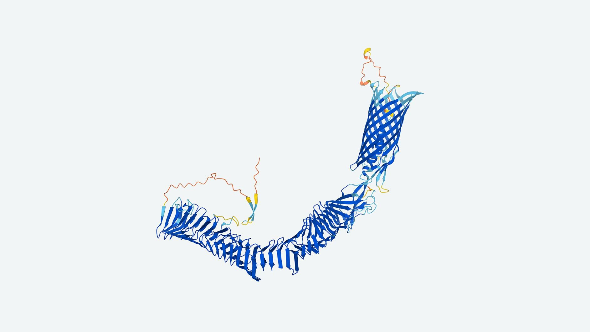 SCI PROTEIN SHAPES 3-0.jpg