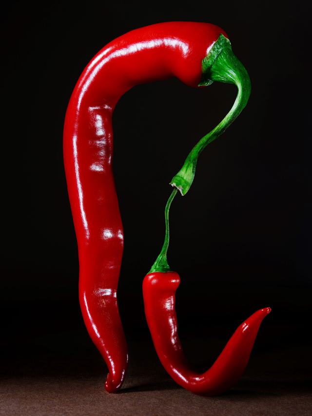 SCI SPICY FOODS 1-1
