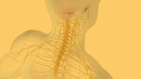 Síndrome de Guillain-Barré