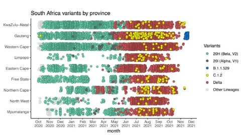 south africa variants by province.jpg