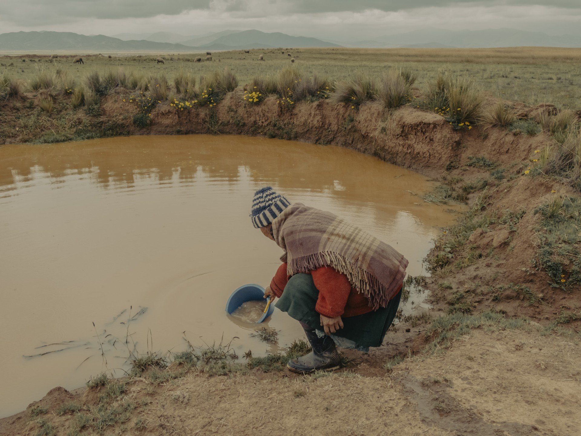 Mujer agachada a la orilla de un pequeñísimo charco barroso y amarillento, intentando recolectar agua con un recipiente.