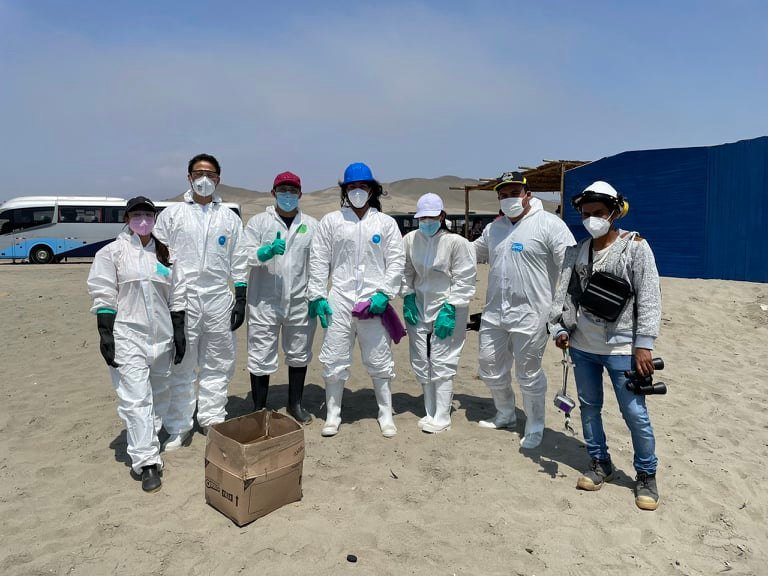 Voluntarios derrame petróleo Repsol